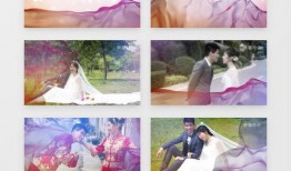 结婚爆料视频大全集下载